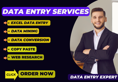 I will do data entry,  data mining,  data conversion,  web research properly