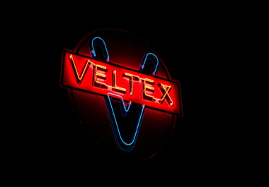 I will design a unique logo for you. Get a modern,  professional logo design that perfectly captures.