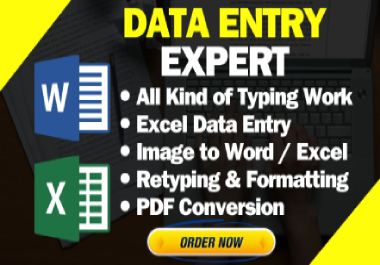 typing job,  data entry work,  PDF to word or excel