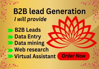 B2B Leads,  Data Entry,  Data Scraping, web research,  virtual assistant