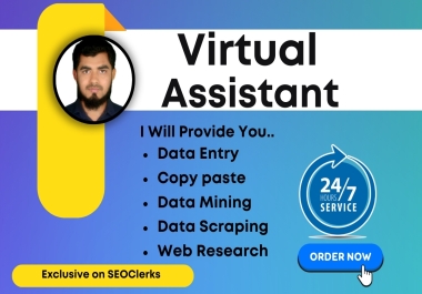 I will furnish Virtual Assistant & Data Entry service to artistry