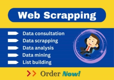 Virtual assistant for your web scaping with all types of excel sheets.