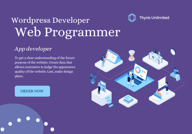 Wordpress Programmer Develop CMS and program