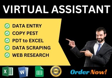 I will do Data Entry, Copy pest, PDF to Excel, Data scraping and web research