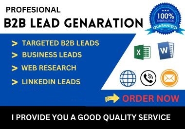 I will do all kind of B2B Lead generation,  Web Research and Data Entry