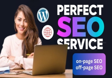 I Will in One Complete SEO Package TOP RESULTS 2024
