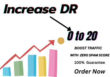 I will Increase DR 20 with 100 Guarantee