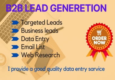 I will do targeted lead generation, data entry, email listing and web eesearch