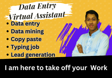 Data Entry,  Web research,  LinkedIn Lead Generation.