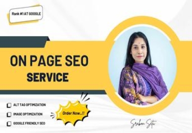 I Will do Website on page SEO and Technical optimization services of WordPress site