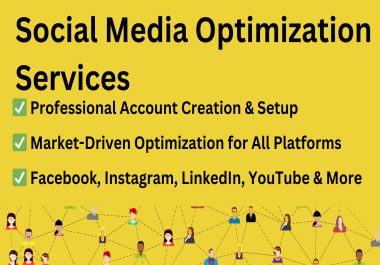 Complete Media Optimization & Strategy Full Setup and Success for All Platforms