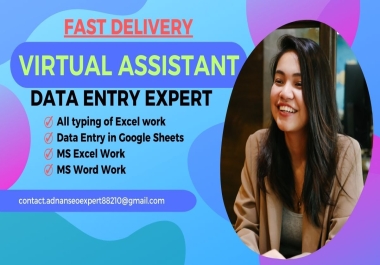 be your virtual assistant for data entry,  copy paste,  typing