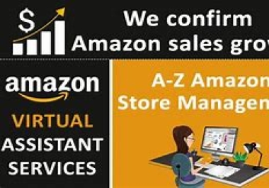 I will be your professional Amazon Store VA