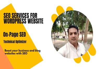 I will do on page SEO and technical optimizer for your wordpress website