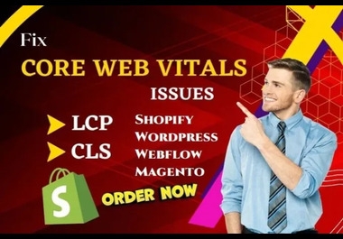 Shopify wordpress speed optimization expert