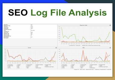 You will get Boost Your Website's Performance with Professional SEO Log File Analysis