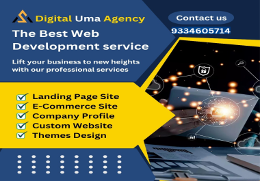 I am a professional website developer