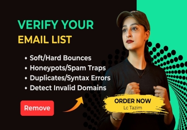 I will do Bulk Email Verification and List Cleaning for Your Email List