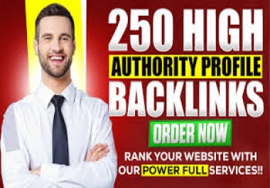 I will 250 high authority SEO profile backlinks manually