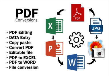 Professional Data Entry,  Copy-Paste,  and PDF to Excel/Word Services - Fast,  Accurate,  and Reliable