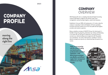 I will design company profile,  overview or handbook