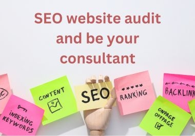 I will do a SEO website audit and be your consultant