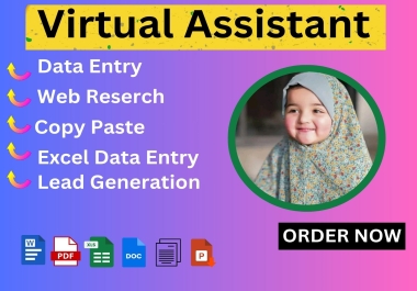 Expert Virtual Assistant for Data Entry,  Web Research,  and Excel Tasks