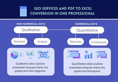 SEO Services and PDF to Excel Conversion in One Professional