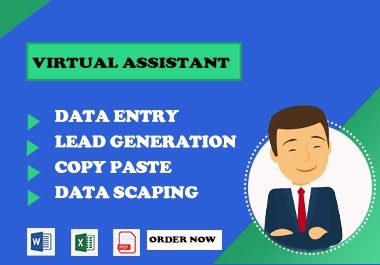 I will do Data Entry,  Copy paste,  Data scraping and web research