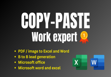 Expert Copy-Paste Work Data Entry Fast & Accurate
