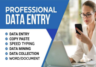 I will provide accurate and efficient data entry services
