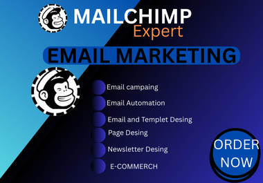 I Will Boost Your Sales with Targeted Email Marketing Campaigns Setup