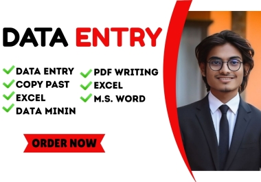 I will do excel data entry,  copy paste,  data collection,  and web research