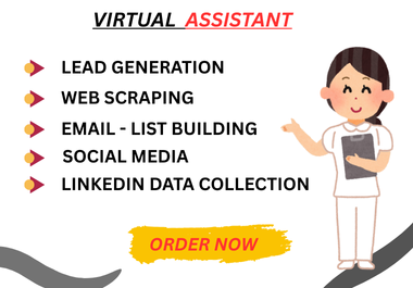 I will do web research,  data entry any business email finding