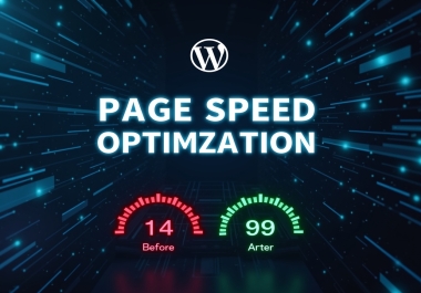 Will Optimize Your Website Page Speed through WordPress