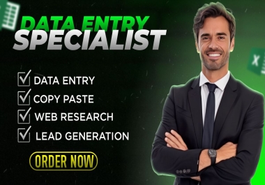 I will provide Professional Data Entry,  Excel Cleaning and Web Research Services