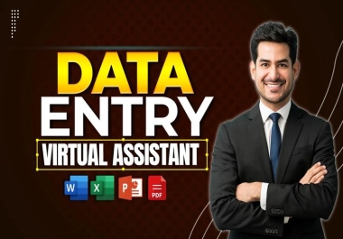I will provide Professional Data Entry,  Excel Cleaning and Web Research Services