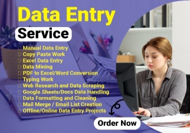 Data Entry Services with 100 Accuracy and On-Time Delivery