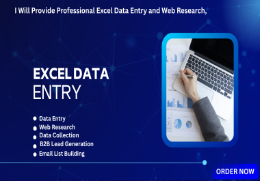 I Will Do Excel Data Entry,  Web Research and Lead Generation. For 24 Hours