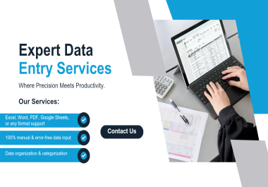 Professional Data Entry Service Accurate & Fast Work 100 Manual Entry