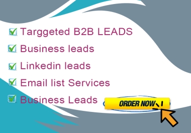 I will execute b2b lead generation,  targeted business leads for any industry.