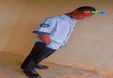 I will do website development,  chatgpt chatbot development,  api integration