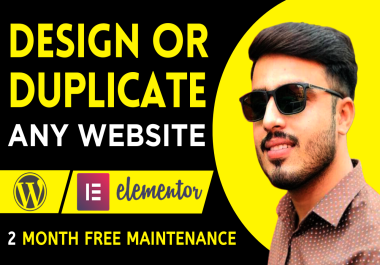 I will design or duplicate or build a wordpress website