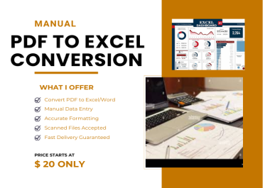 I will convert PDF to Excel manually with accuracy