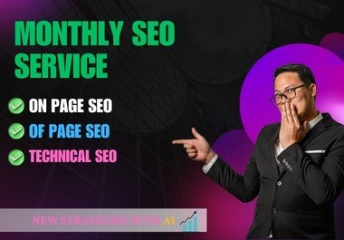 I will provide professional monthly seo service.