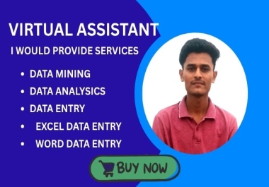 Expert Virtual Assistant for Data Entry