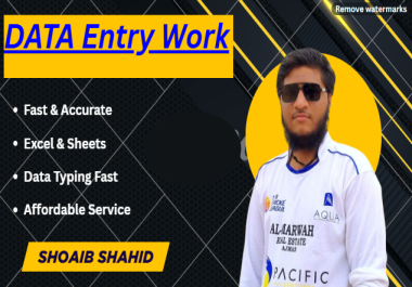 I Will Do Fast and Accurate Data Entry Work