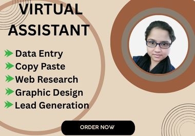 I will be your professional virtual assistant for web research,  data entry,  and lead generation