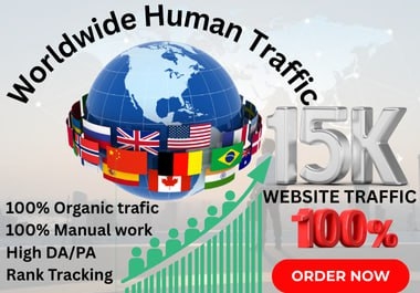 Worldwide Website Traffic Organic Human Visitors for SEO & Search Engine