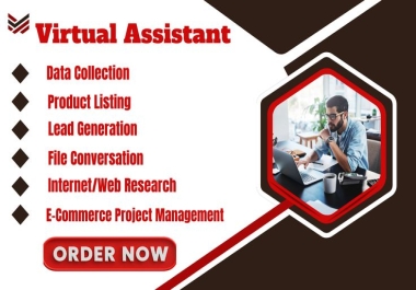 I Will Provide Virtual Assistant Services for SEO,  Research,  and Content Support